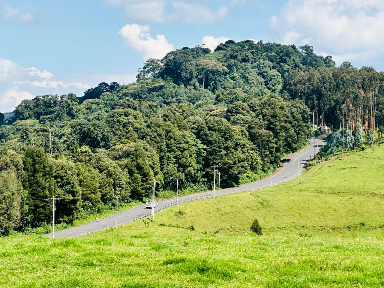 Gishwati National Park